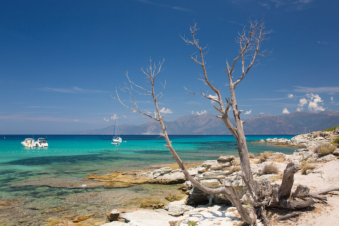 View across turquoise water to Cap Corse from rocky coastline near the Plage du Loto, St-Florent, Haute-Corse, Corsica, France, Mediterranean, Europe