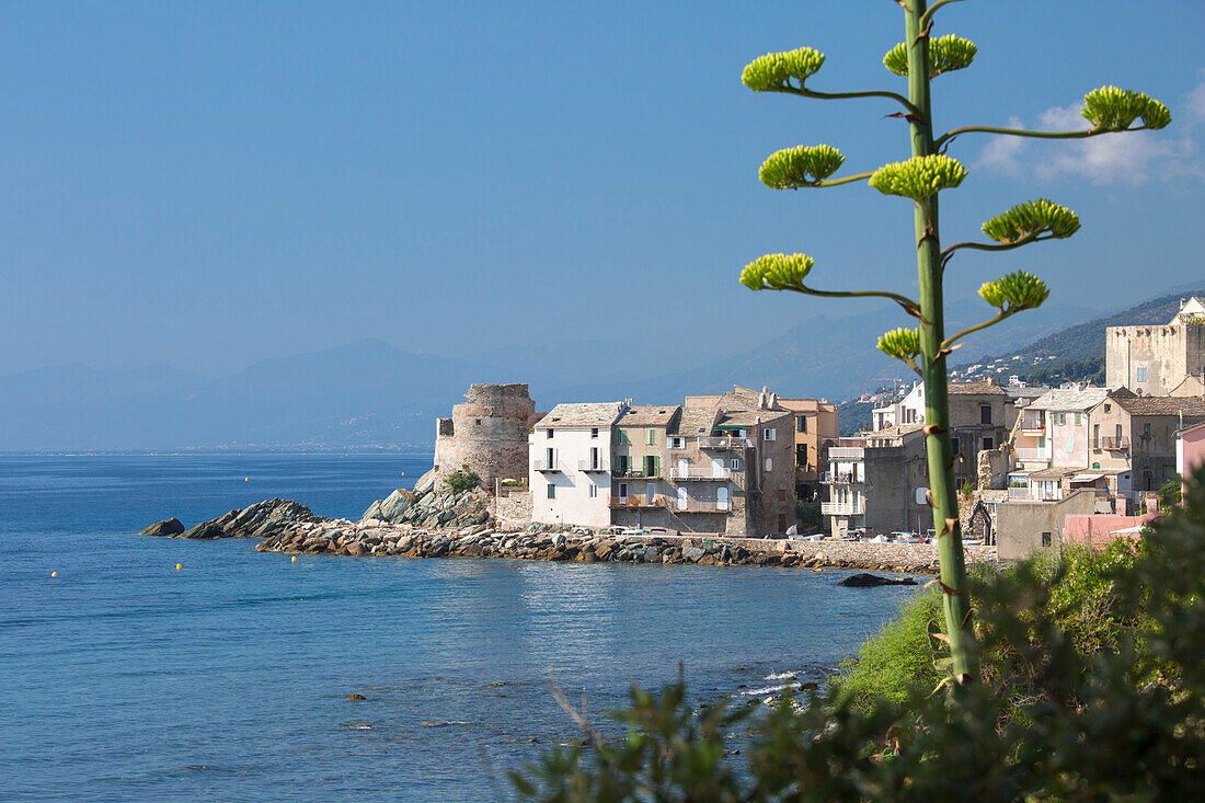 Blick über die Bucht auf die Dorfhäuser und die Ruine des genuesischen Wachturms aus dem 16. Jahrhundert, Erbalunga, Cap Corse, Haute-Corse, Korsika, Frankreich, Mittelmeer, Europa