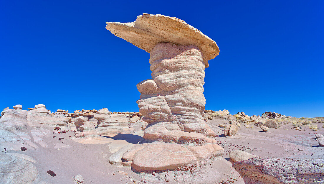 A tall hoodoo called the Leviathan in Devil's Playground, Petrified Forest National Park, Arizona, United States of America, North America