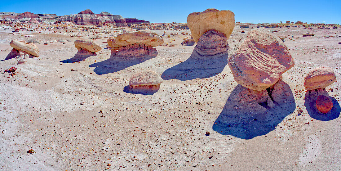 Boulders in Devil's Playground called Gnomes of Desolation, Petrified Forest National Park, Arizona, United States of America, North America