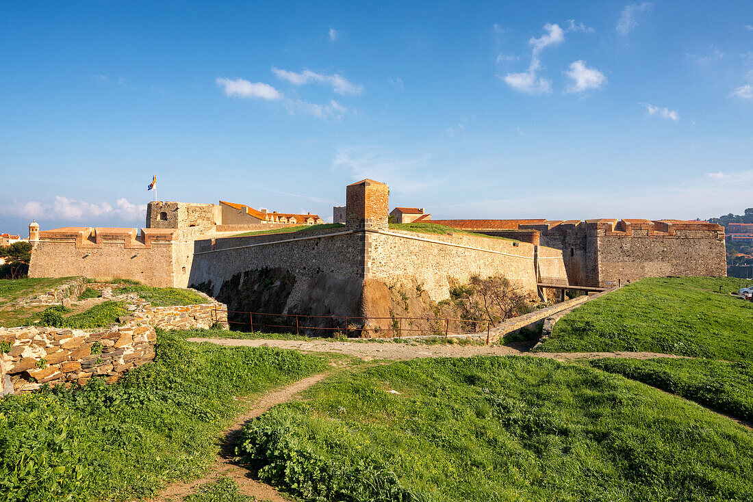 Royal castle of Collioure, Collioure, Pyrenees Orientales, France, Europe