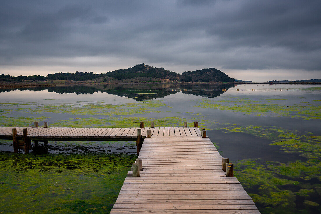Walkway on a pond full of algae on a natural reserve in the south of France with mountains in the background, Occitanie, France, Europe