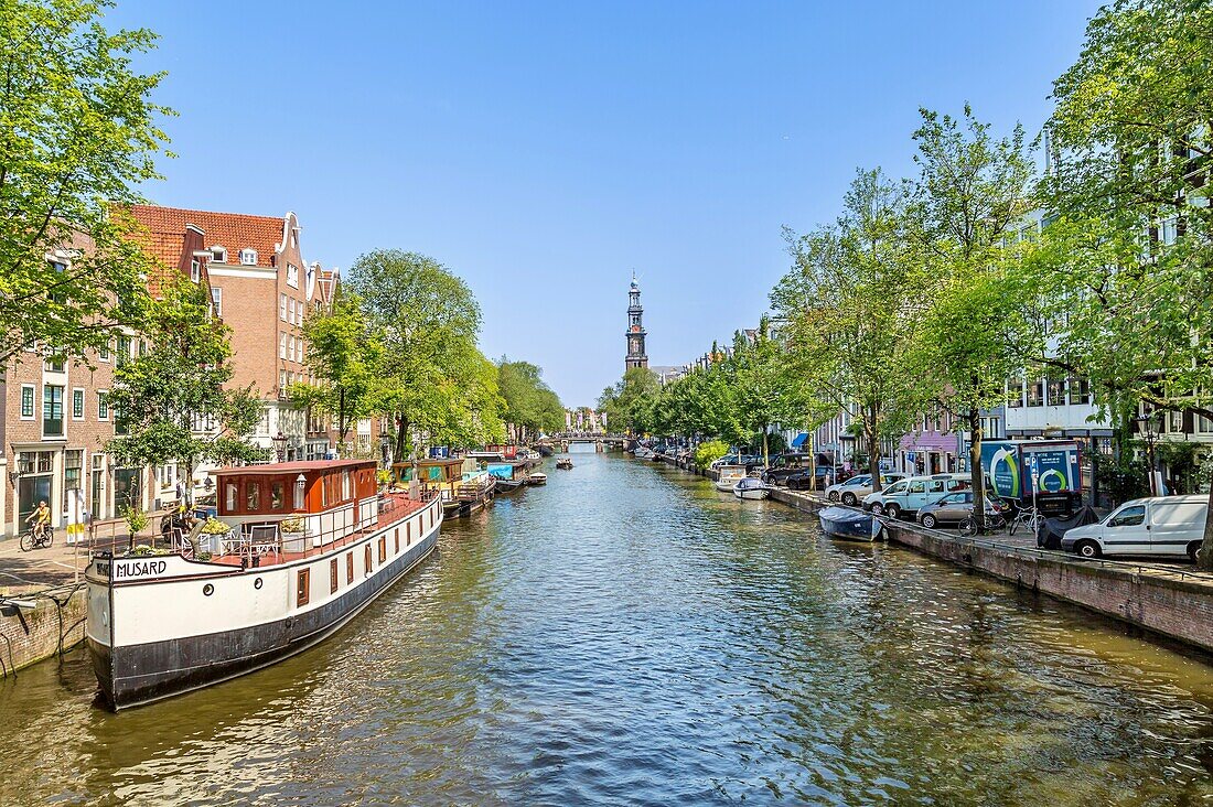 Boats on the Prinsengracht canal, with the Westerkerk church behind, Amsterdam, North Holland, The Netherlands, Europe