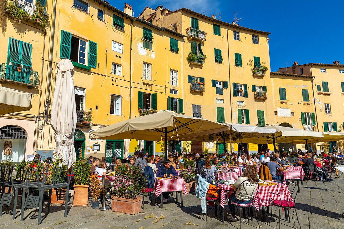 Essen und Trinken im Freien, Piazza dell'Anfiteatro, Lucca, Toskana, Italien, Europa