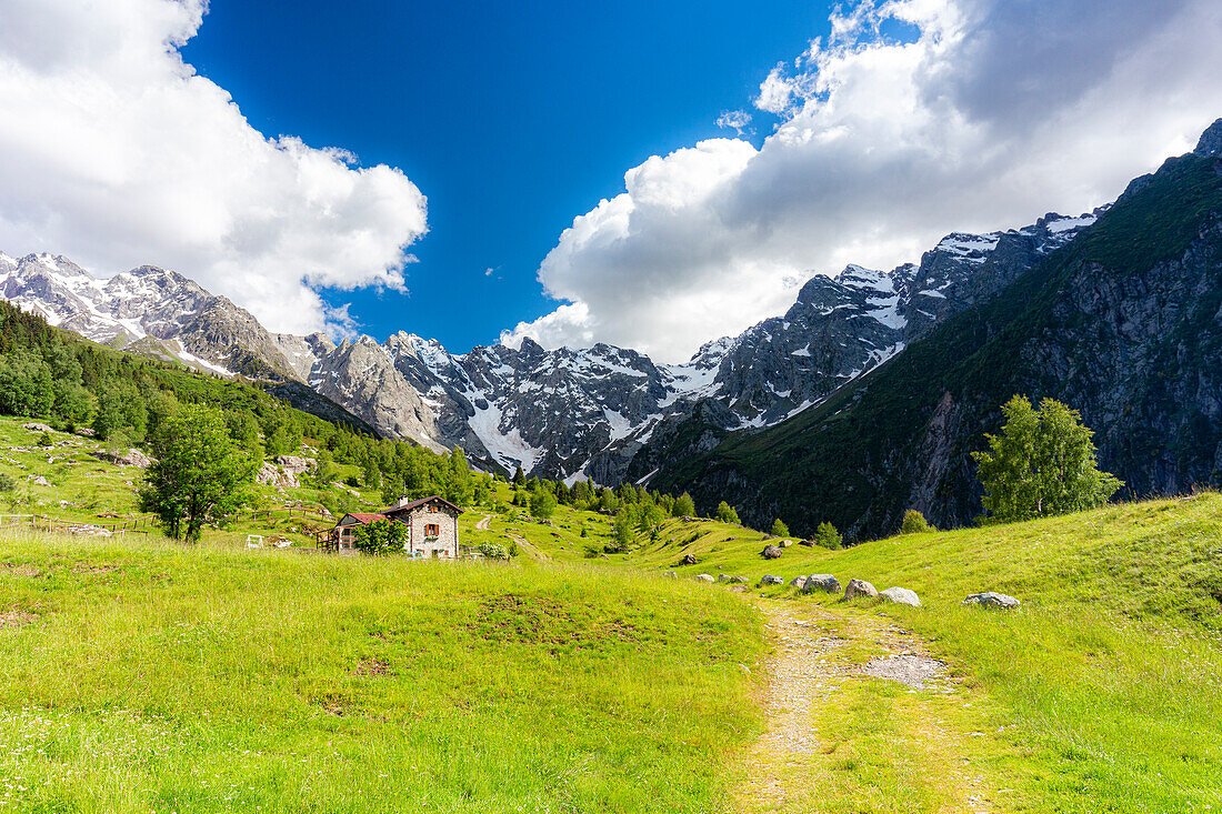 Lonely traditional hut in a wild alpine valley, Val d'Arigna, Orobie, Valtellina, Lombardy, Italy, Europe