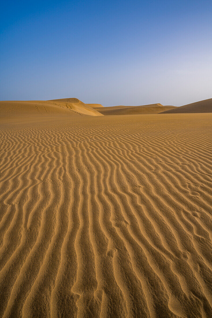 View of drifting sands and dunes at Maspalomas, Gran Canaria, Canary Islands, Spain, Atlantic, Europe