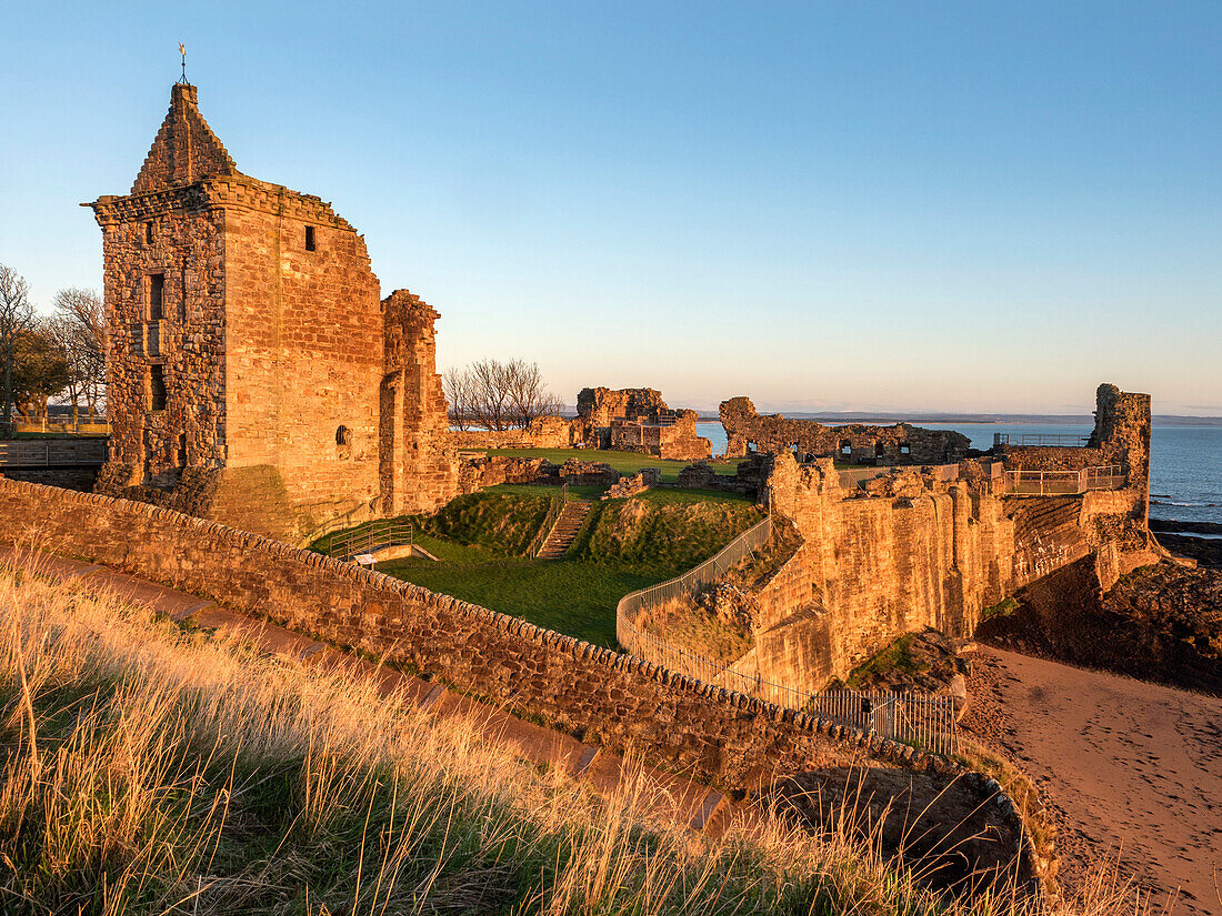 St. Andrews Castle bei Sonnenaufgang, St. Andrews, Fife, Schottland, Vereinigtes Königreich, Europa