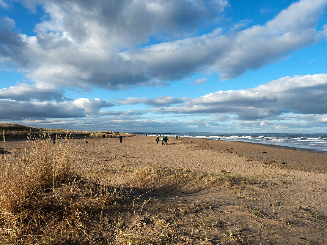 West Sands at St. Andrews, Fife, Scotland, United Kingdom, Europe