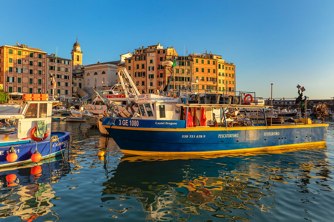 Der alte Hafen, Camogli, Rivera di Levante, Bezirk Genua, Ligurien, Italien, Europa