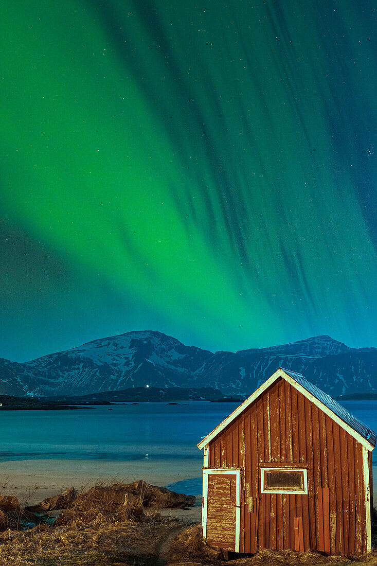 Aurora Borealis (Nordlicht) über der roten Hütte am Strand von Ramberg, Landkreis Nordland, Lofoten-Inseln, Norwegen, Skandinavien, Europa
