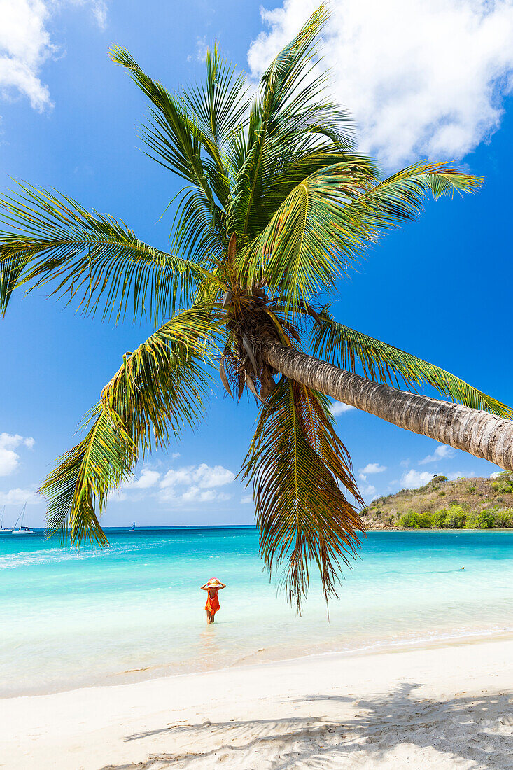 Frau mit Strohhut und Blick auf die Palmen am Strand im türkisfarbenen Wasser des Karibischen Meeres, Antigua, Westindien, Karibik, Mittelamerika