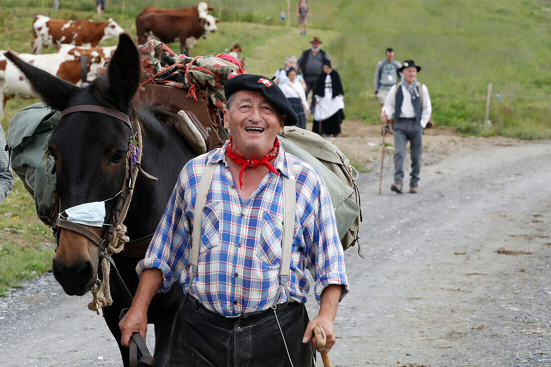 Maultiertreiber im Val Montjoie, Savoyisches Kulturerbe, Haute-Savoie, Frankreich, Europa