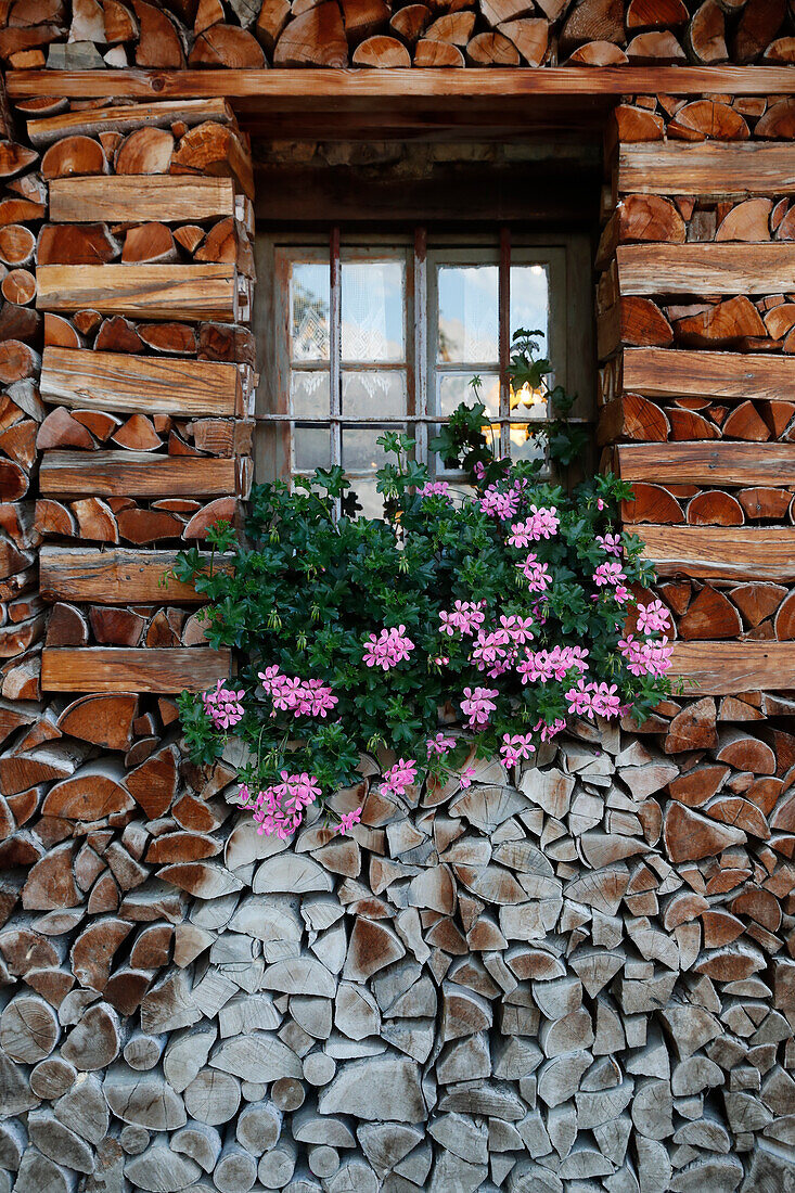 Fenster mit Blumen, Holzchalet in den französischen Alpen, Sallanches, Haute-Savoie, Frankreich, Europa