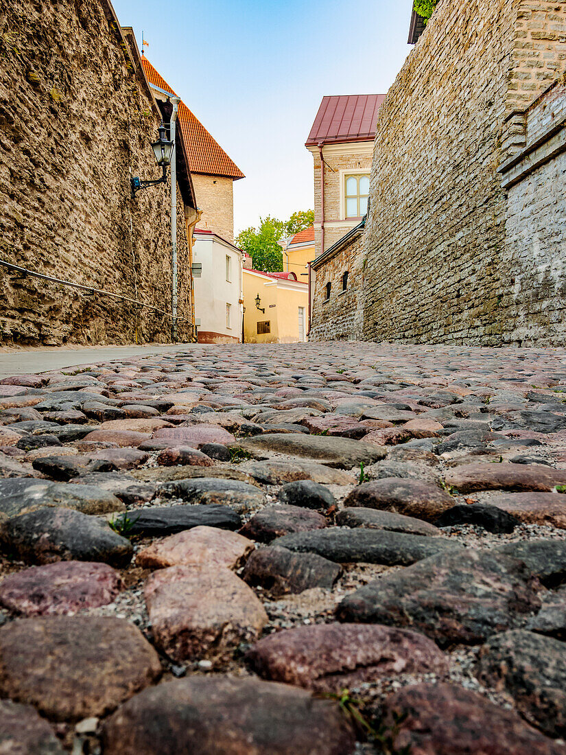 Pikk jalg street, low angle view, Old Town, Tallinn, Estonia, Europe