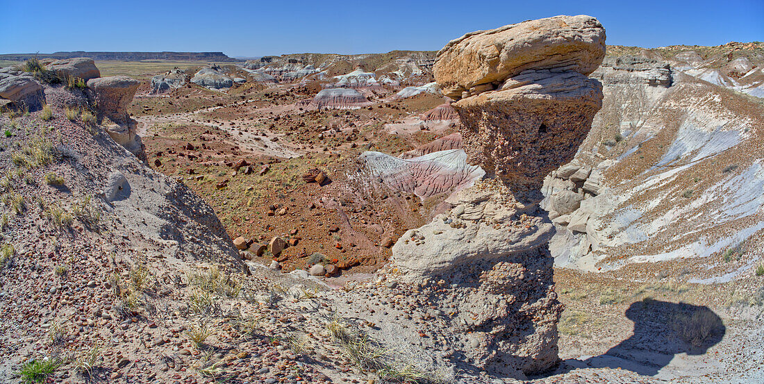 A hoodoo resembling a Dinosaur Head overlooking Jasper Forest in Petrified Forest National Park, Arizona, United States of America, North America