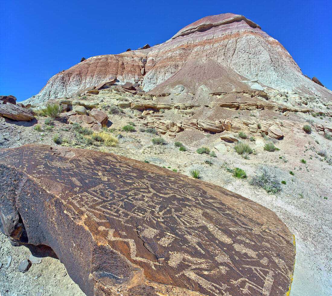 Alte indianische Petroglyphen auf einem Felsblock in der Nähe von Martha's Butte im Petrified Forest National Park, Arizona, Vereinigte Staaten von Amerika, Nordamerika