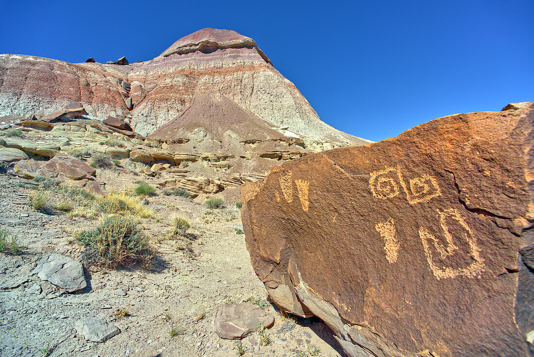 Ancient Indian petroglyphs on a boulder near Martha's Butte in Petrified Forest National Park, Arizona, United States of America, North America