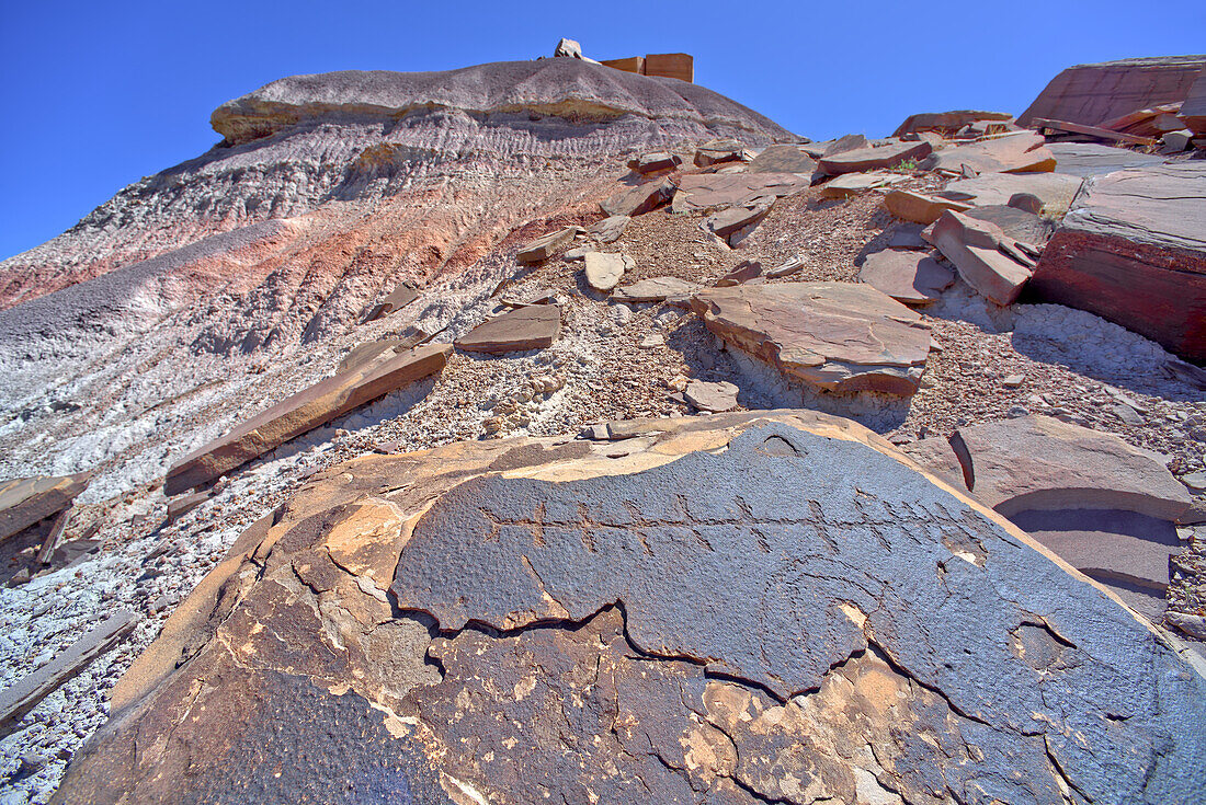 Alte indianische Petroglyphen auf einem Felsblock in der Nähe von Martha's Butte im Petrified Forest National Park, Arizona, Vereinigte Staaten von Amerika, Nordamerika