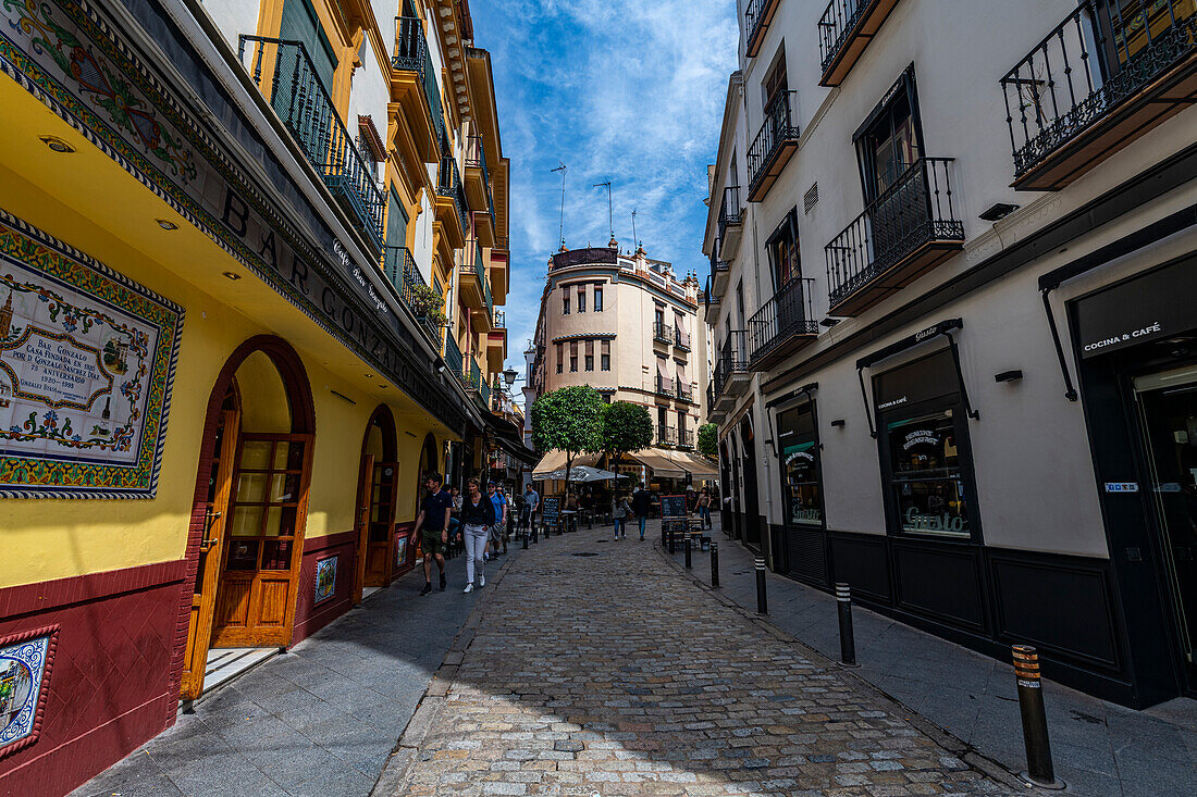 Historische Häuser in der Fußgängerzone von Sevilla, Andalusien, Spanien, Europa