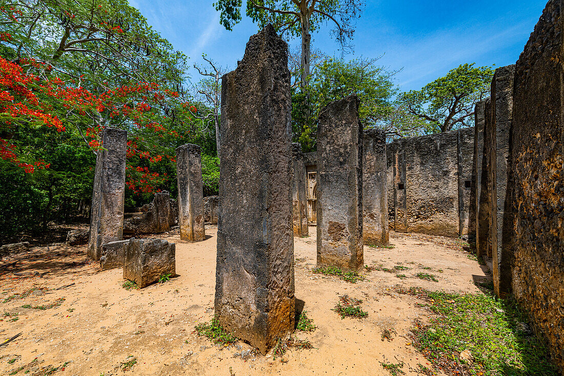 Ruinen der mittelalterlichen Suaheli-Küstensiedlungen von Gedi, Kilifi, Kenia, Ostafrika, Afrika