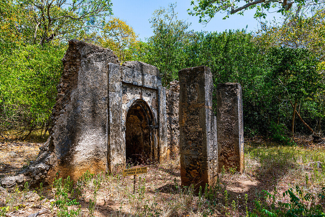 Ruins of medieval Swahili coastal settlements of Gedi, Kilifi, Kenya, East Africa, Africa