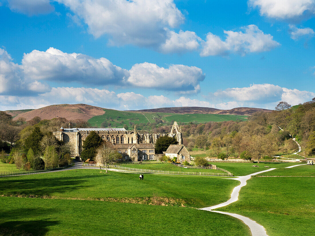 Die Ruinen des augustinischen Klosters Bolton Priory im Wharfe-Tal bei Bolton Abbey, North Yorkshire, England, Vereinigtes Königreich, Europa