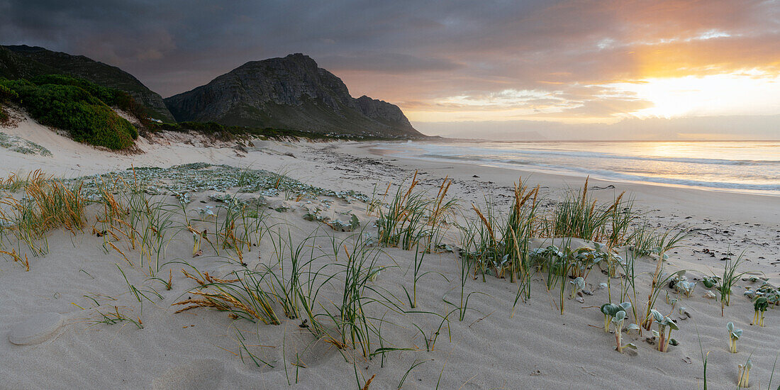 Betty's Bay Beach, Western Cape, South Africa, Africa