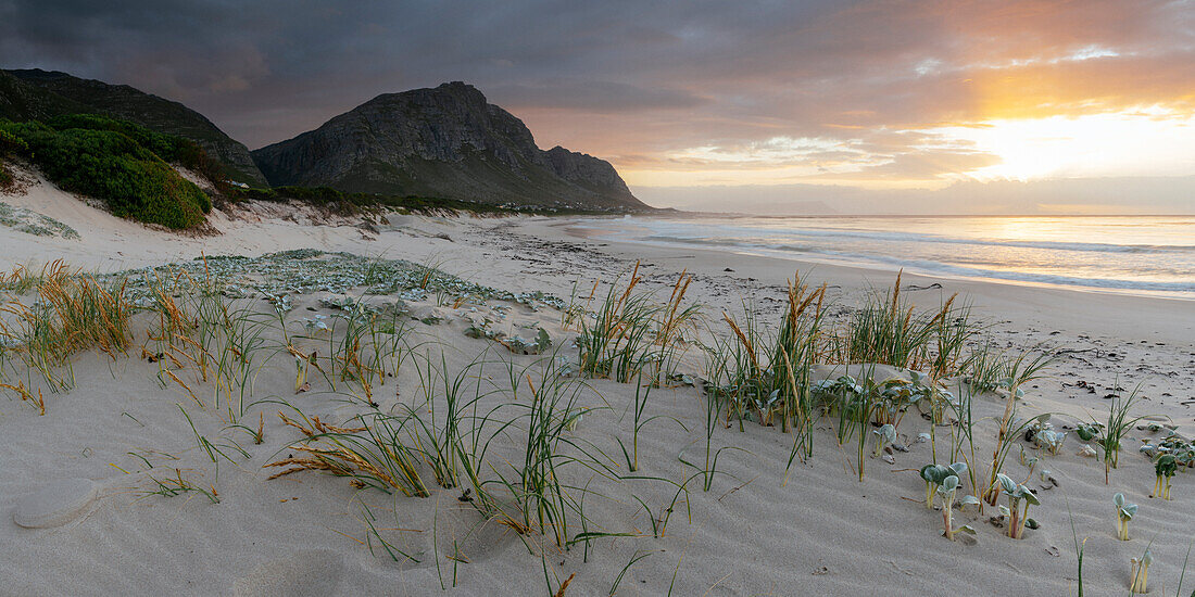 Betty's Bay Beach, Westkap, Südafrika, Afrika