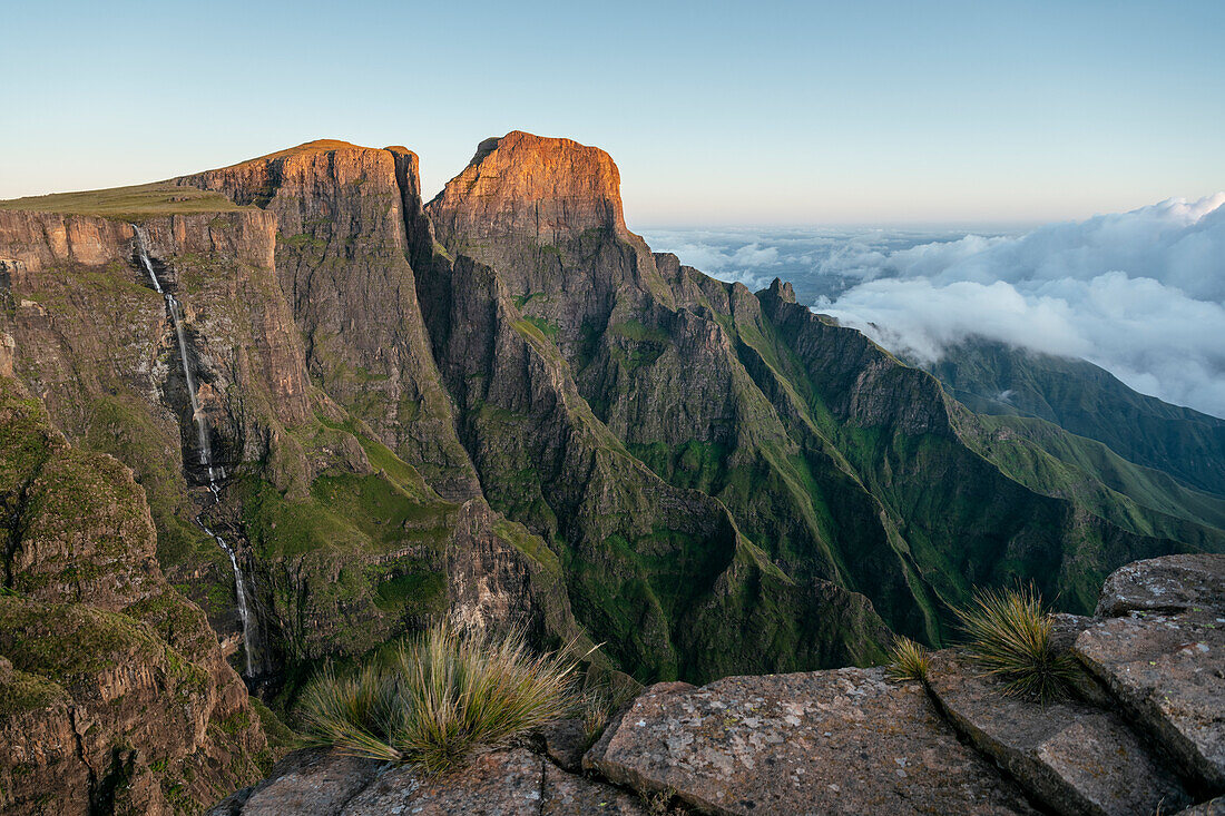 Dawn light at The Amphitheatre, Drakensberg Mountains, Royal Natal National Park, KwaZulu-Natal Province, South Africa, Africa