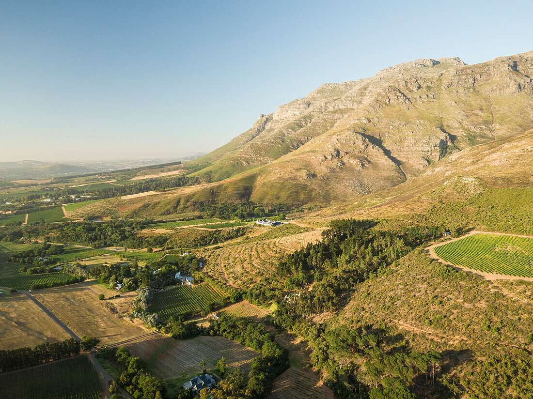 Luftaufnahme der Weinberge bei Stellenbosch, Westkap, Südafrika, Afrika