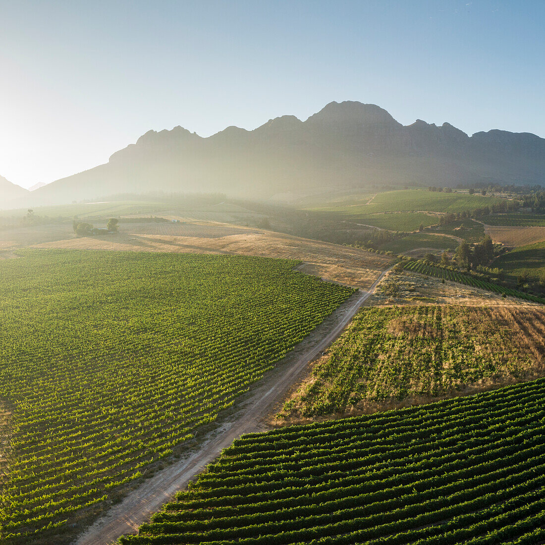 Luftaufnahme der Weinberge bei Stellenbosch, Westkap, Südafrika, Afrika