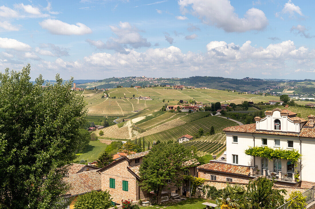 The hills surrounding the town of Neive, Neive, Langhe, Piedmont, Italy, Europe