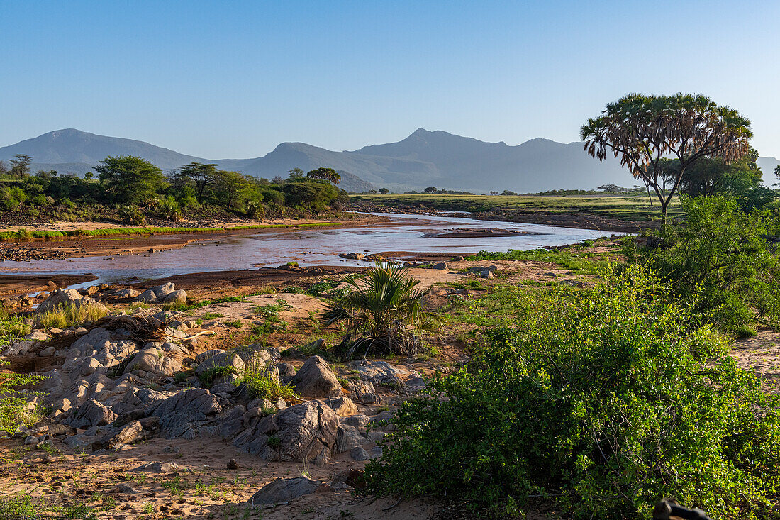 Der Ewaso Ng'iro-Fluss fließt zwischen dem Buffalo Springs National Reserve und dem Samburu National Park, Kenia, Ostafrika, Afrika
