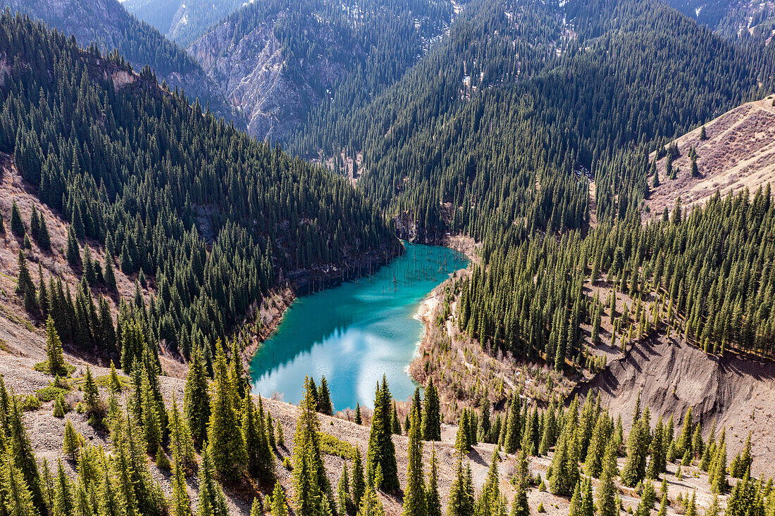 Aerial of the Kaindy Lake with its dead trees, Kolsay Lakes National Park, Tian Shan mountains, Kazakhstan, Central Asia, Asia