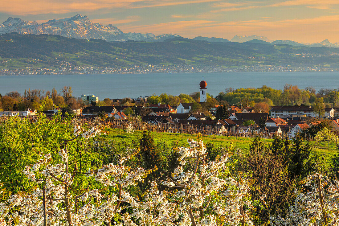 Blick über Kressbronn zum Bodensee und Schweizer Alpen mit Santis, 2502m, Oberschwaben, Baden-Württemberg, Deutschland, Europa