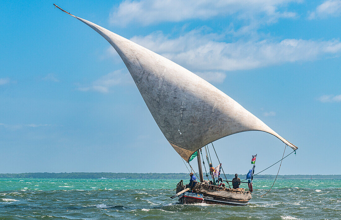 Traditionelles Dhau-Segeln im Indischen Ozean, Insel Lamu, Kenia, Ostafrika, Afrika