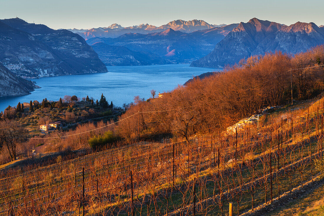 Herbst in Franciacorta und Iseo-See bei Sonnenuntergang, Provinz Brescia, Region Lombardei, Italien, Europa