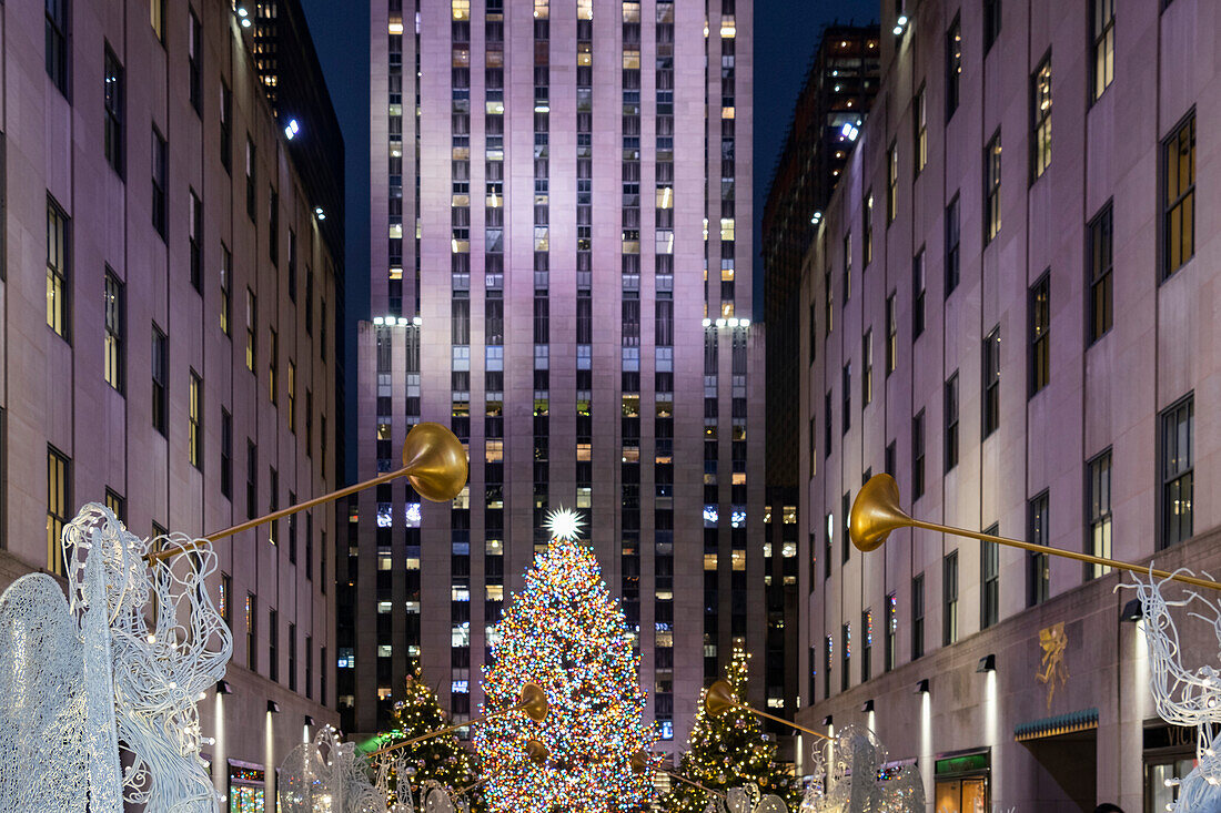 The Rockefeller Center Christmas Tree and Rockefeller Center at night, Midtown Manhattan, New York, United States of America, North America