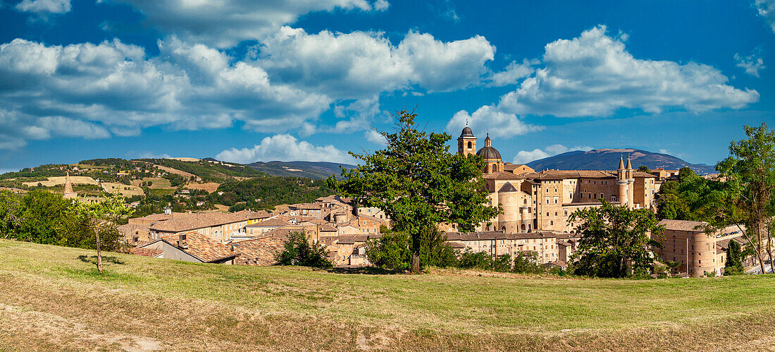 Blick auf den Herzogspalast von Urbino und sein historisches Zentrum vom Park der Albornoz-Festung aus, Urbino, Marken, Italien, Europa