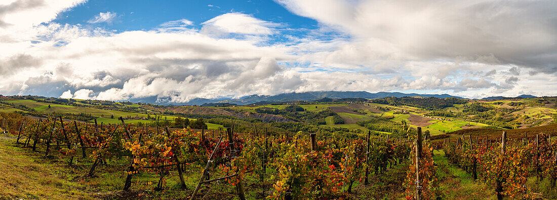 Hills and vineyards of Oltre Po Pavese in autumn season, Northern Apennines, Pavia, Lombardy, Italy, Europe