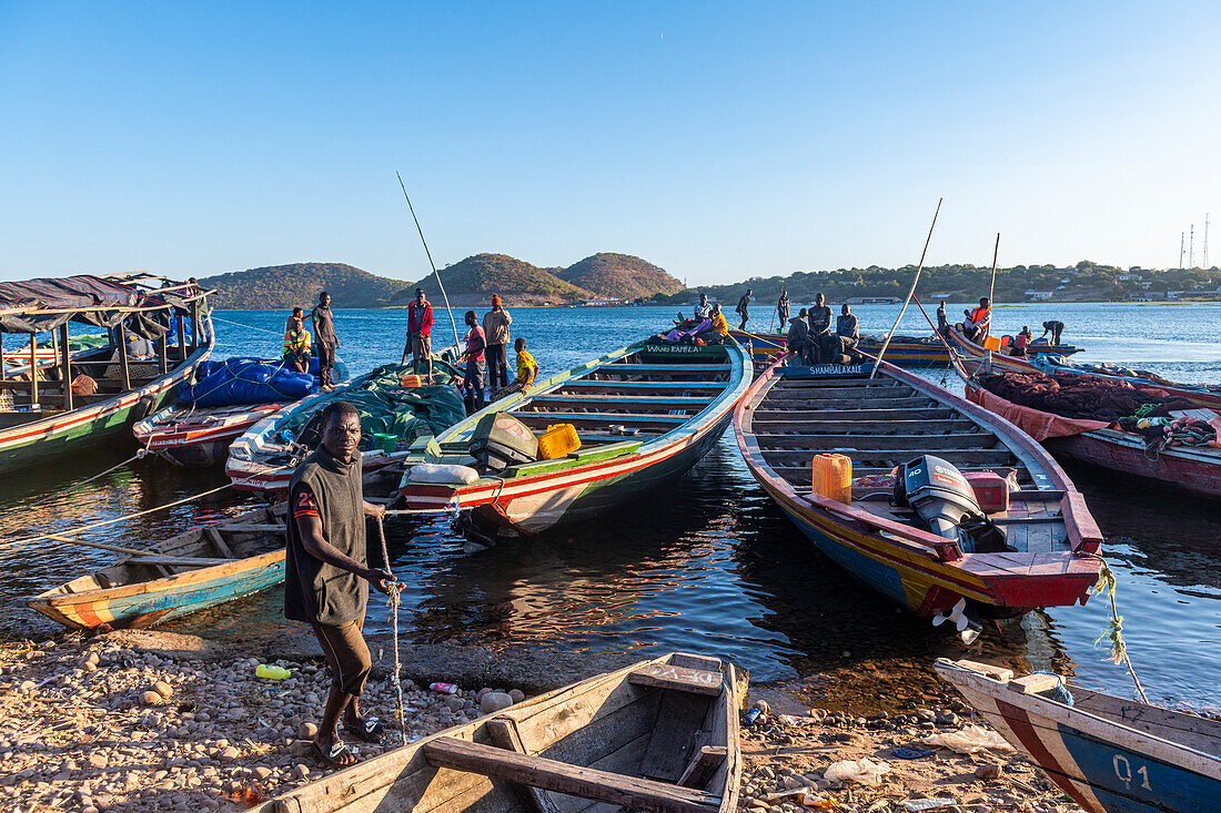 Fishermen bringing their morning catch to the market, Mpulungu, Lake Tanganyika, Zambia, Africa
