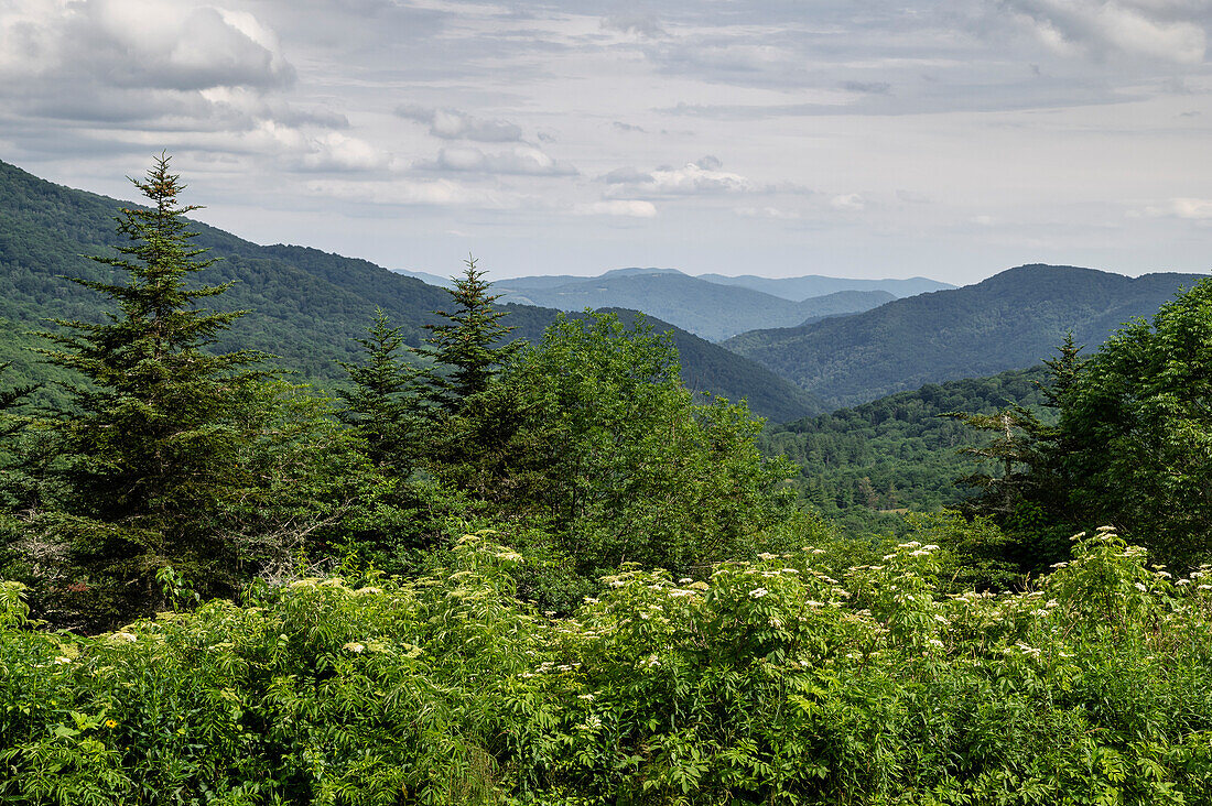Blick auf die Blue Ridge Mountains vom Appalachian Trail im Sommer, Avery County, North Carolina, Vereinigte Staaten von Amerika, Nordamerika