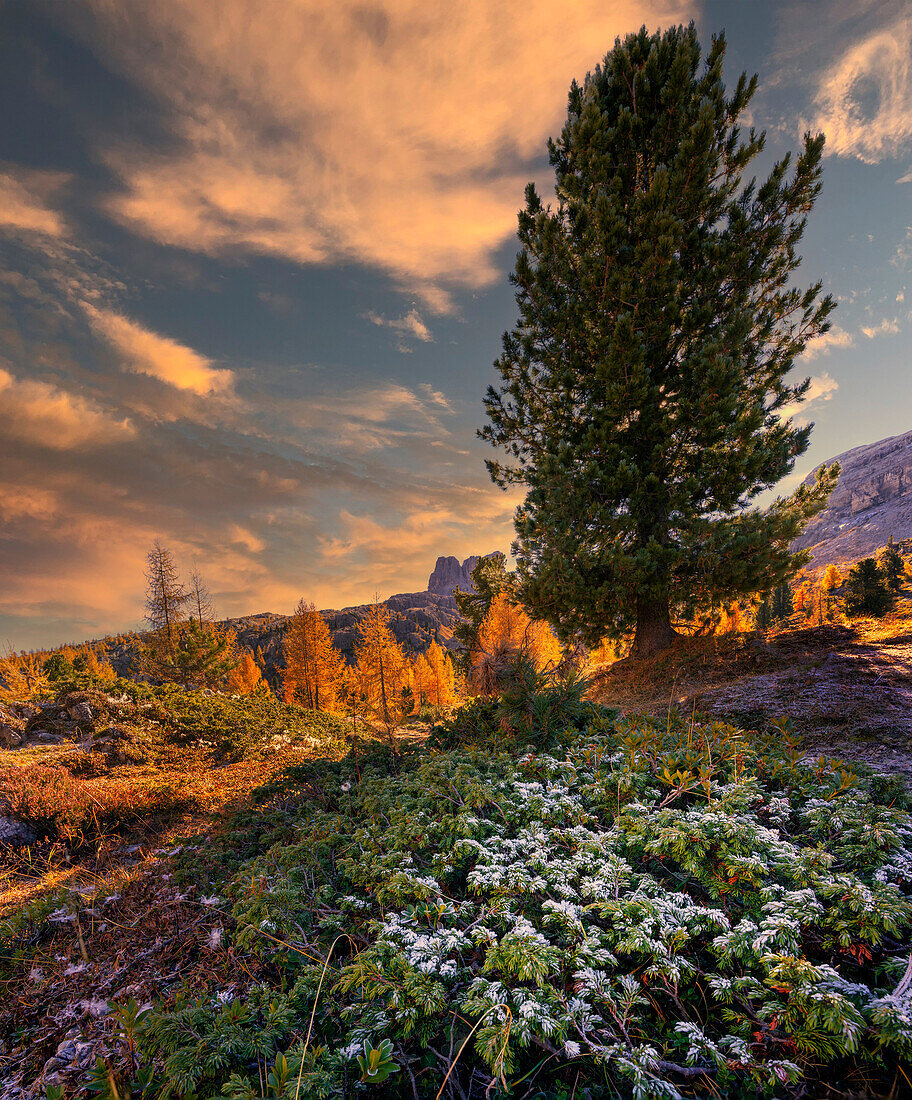 Nuvolau im Herbst, Falzaregopass, Dolomiten, Venetien, Italien, Europa