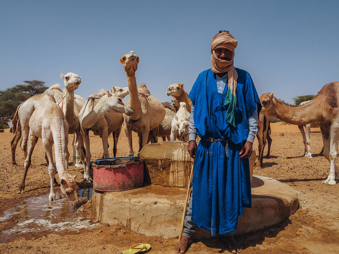 Ein Arbeiter mit seinen Dromedaren, der Wasser aus einem Brunnen in einem Dorf zwischen Nouakchott und Tidjikdja holt, Mauretanien, Sahara, Westafrika, Afrika