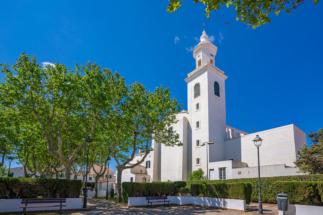View of whitewashed Catholic Church framed by trees against blue sky, Sant Lluis, Menorca, Balearic Islands, Spain, Mediterranean, Europe