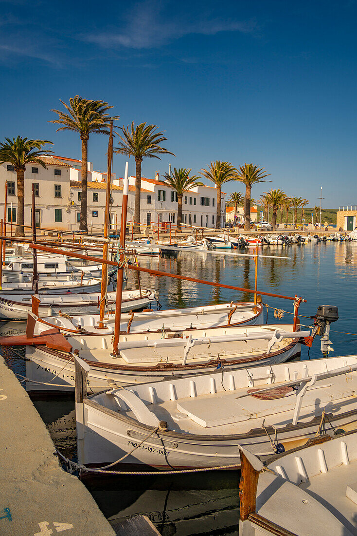 Blick auf Boote und Palmen im Jachthafen und Häuser in Fornelles, Fornelles, Menorca, Balearische Inseln, Spanien, Mittelmeer, Europa