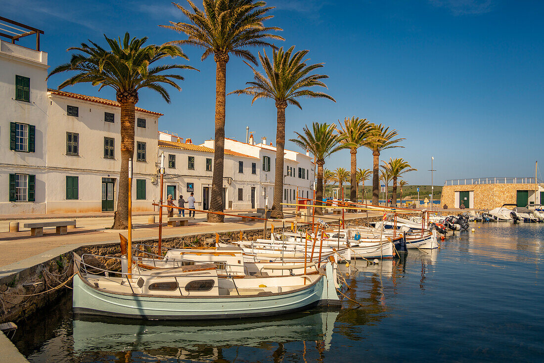 View of boats and palm trees in the marina and houses in Fornelles, Fornelles, Menorca, Balearic Islands, Spain, Mediterranean, Europe