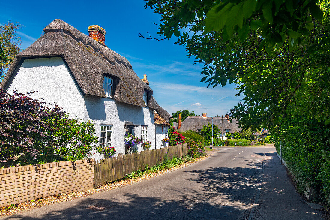 Traditionelles reetgedecktes Cottage, Bourn, Cambridgeshire, England, Vereinigtes Königreich, Europa