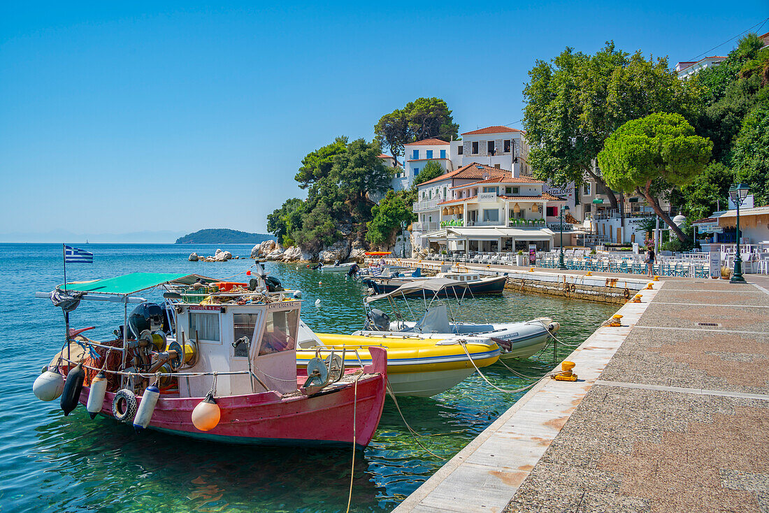 Blick auf Belvedere Skiathos Alter Hafen und Skiathos Stadt, Insel Skiathos, Sporaden-Inseln, Griechische Inseln, Griechenland, Europa