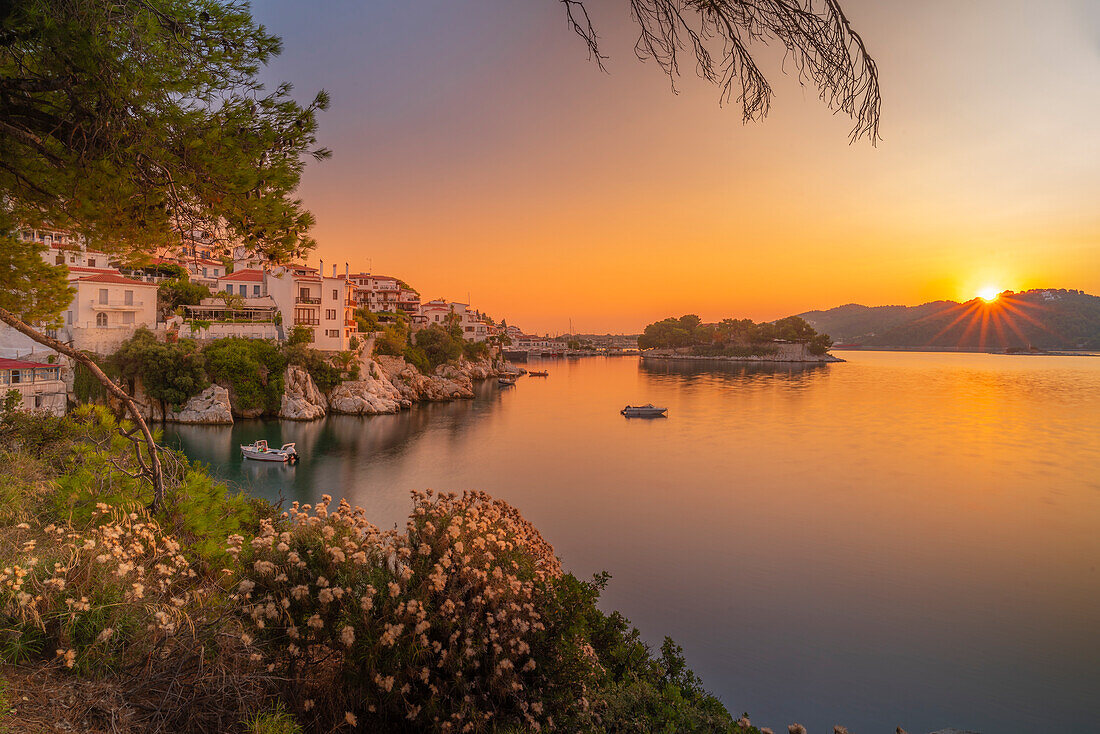 View of old town framed by trees at sunrise, Skiathos Town, Skiathos Island, Sporades Islands, Greek Islands, Greece, Europe